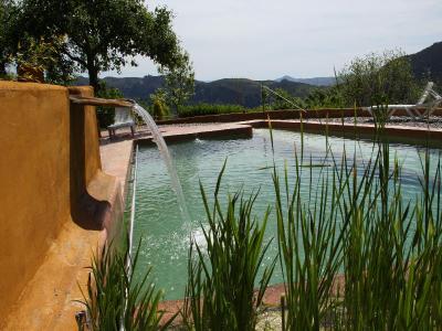 La Oveja Verde