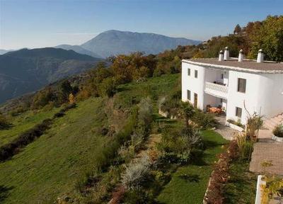 La Oveja Verde