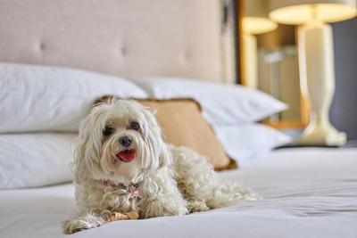 The Brown Palace Hotel & Spa, Autograph Collection