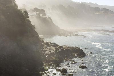 Timber Cove Inn