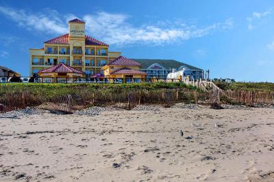 Sand Rose Beach Resort
