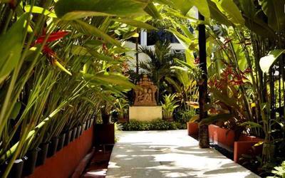 Safari Beach Hotel