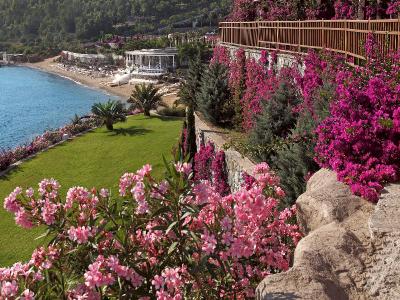 Sianji Wellbeing Resort