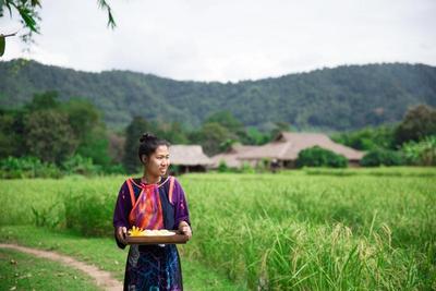 Lisu Lodge