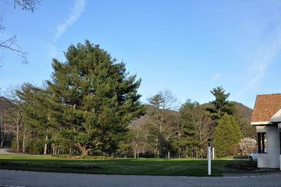 Fox Ridge Resort