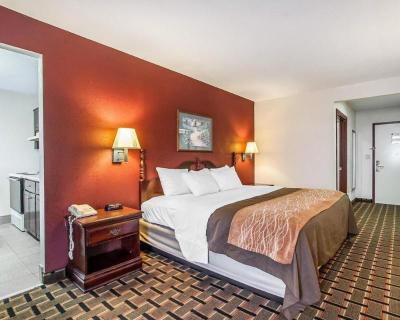 Comfort Inn Edmund Pettus Bridge area