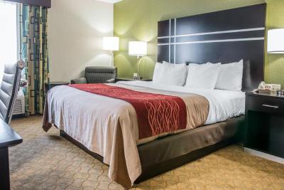 Comfort Inn & Suites Maumee - Toledo (I80-90)