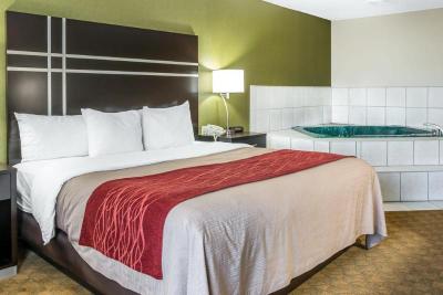 Comfort Inn & Suites Maumee - Toledo (I80-90)