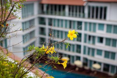 Aiyara Grand Hotel Pattaya