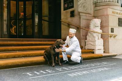 The Peninsula New York