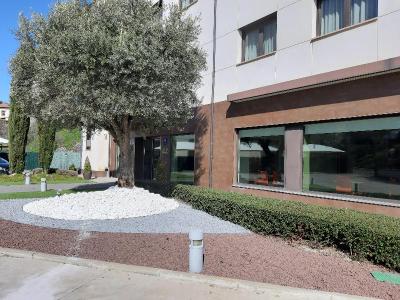 Pago del Olivo