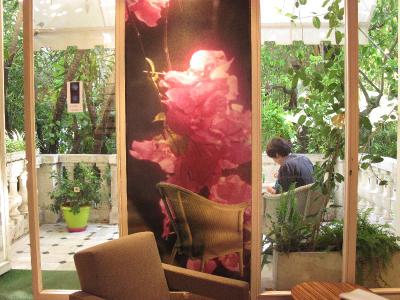 Le Windsor Jungle Art Hotel