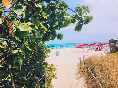 Ocean Spray