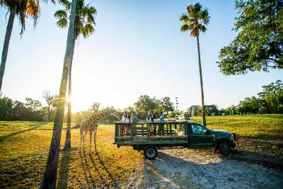 Holiday Inn Express & Suites Tampa-I-75