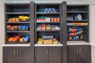 Holiday Inn Express & Suites Tampa-I-75