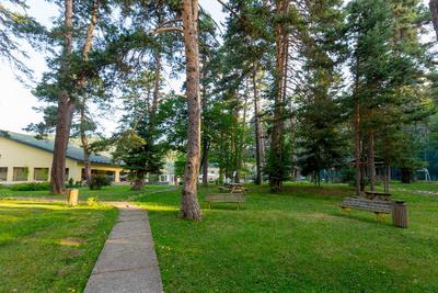 Grand Abant Hotel (Buyuk Abant Hotel)