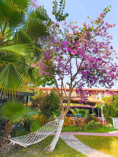 Erendiz Garden Hotel
