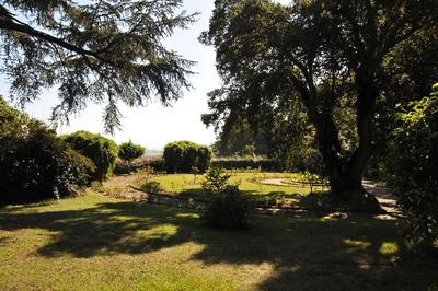 Chateau Du Clair De Lune