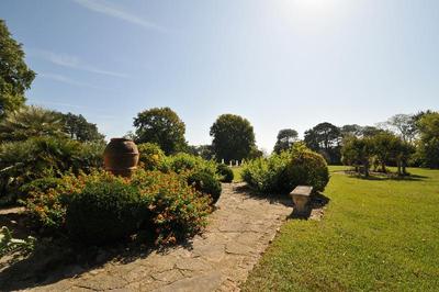 Chateau Du Clair De Lune