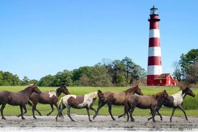 Hampton Inn & Suites Chincoteague Waterfront