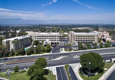 DoubleTree by Hilton Los Angeles - Rosemea