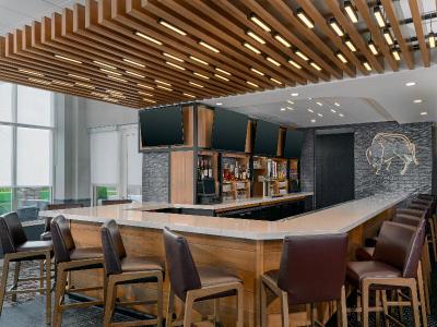 Hilton Garden Inn Buffalo Airport