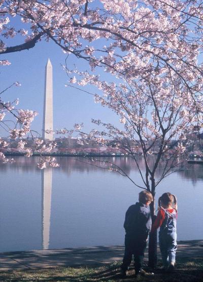 Homewood Suites by Hilton Falls Church - I-495 @ R