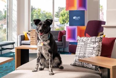 Aloft Mountain View