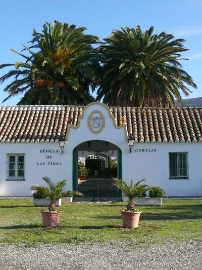Cortijo Las Piñas
