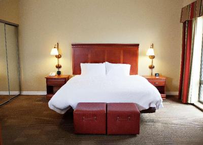 Hampton Inn Martin