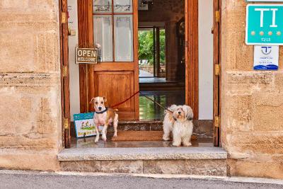 Son Sant Jordi Boutique House