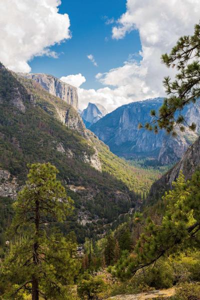 Best Western Plus Yosemite Gateway Inn