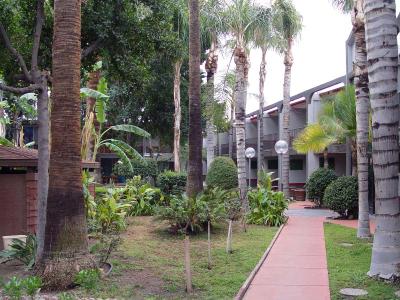 Hiltop Hotel 