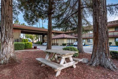 Best Western Orchard Inn