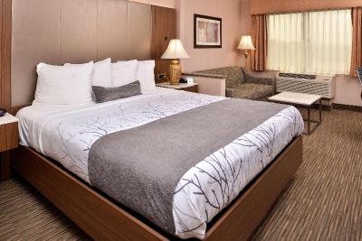 Best Western Plus Suites Hotel - Los Angeles Lax A