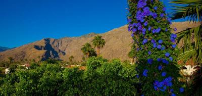Best Western Plus Las Brisas Hotel