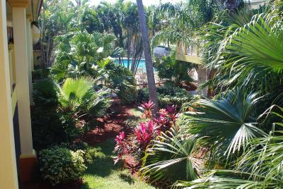 Oasis Boca Raton