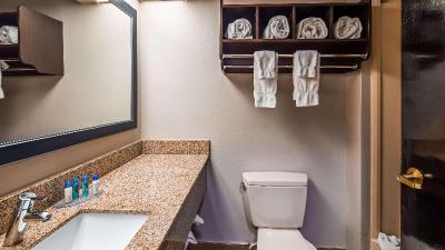 Best Western Mcdonough Inn & Suites