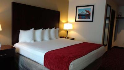 Best Western Pony Soldier Inn - Airport
