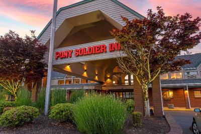 Best Western Pony Soldier Inn - Airport