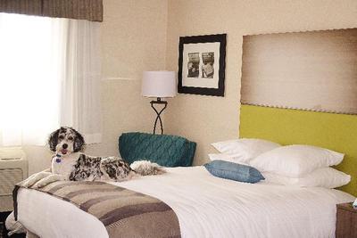 Best Western DuBois Hotel