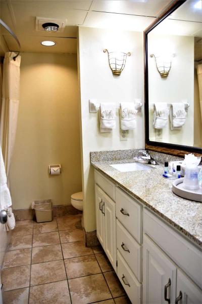 Best Western Spring Hill Inn & Suites