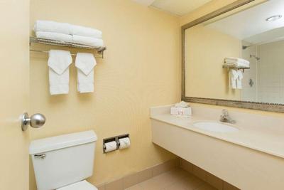 Ramada Plaza by Wyndham Orlando Resort & Suites In