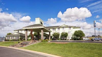 Best Western Bronco Inn