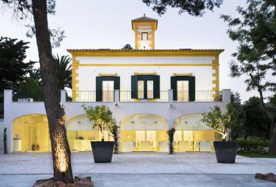 Hort Sant Patrici