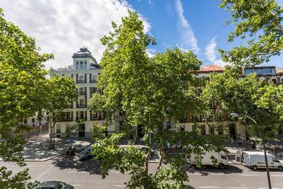 Petit Palace Lealtad Plaza
