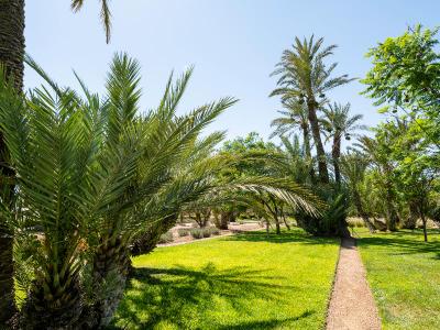 Barceló Palmeraie Oasis Resort