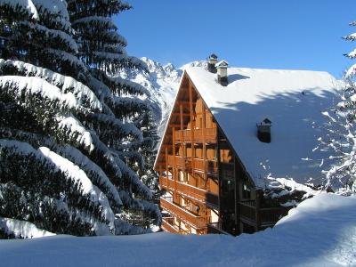 Oz en Oisans - Chalet des Neiges