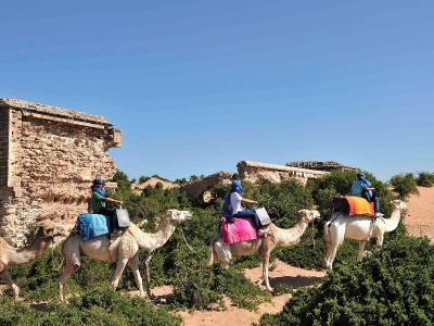 Hotel Le Golf D`Essaouira & Spa 