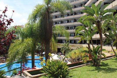 Fergus Puerto de la Cruz